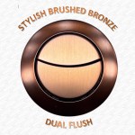 Brushed Bronze Toilet Push Button for Mechanical Top Flush Valve Dual Flush - Image 6
